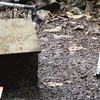 Pintu Peri