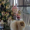 Pohon Natal di Rumah Lisa BLACKPINK