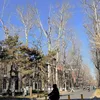 Suasana Tsinghua