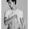 Shawn Mendes Camila Cabello
