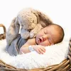 Avery Stefen Chow
