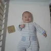 Avery Stefen Chow