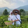 Umi Kalsum &amp; Ayah Rozak di kebun teh