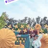 Ayu Ting Ting ke Kafe Ayah Jimin BTS