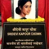 Boney Kapoor - Sridevi