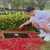 boy william sambangi makam adik