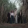 Malam 3 Yasinan di ladang tebu