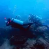 Caitlin Halderman, Diving, Caitlin Diving