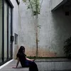 Anggun