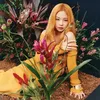 Jennie BLACKPINK - Sooyoung Girls Generation
