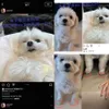Potret Cocoklogi Byeon Woo Seok dan Influencer Cantik Stephanie