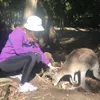 liburan Cut Memey