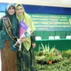 Dokter Shindy MERS RS
