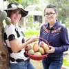 kakak pedangdut, keluarga pedangdut, pedangdut tanah air