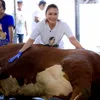Inul Daratista kurban 10 sapi.