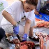 Inul Daratista turun tangan.