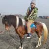 Potret Inul Daratista Liburan ke Bromo Bareng Keluarga Besar