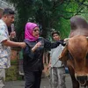 Interaksi Seru dengan Hewan Peliharaan Irfan Hakim