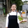 Jacqueline Wijaya