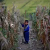 korut, korea utara, potret korea utara, hal unik di korea utara, anak-anak korea utara