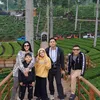 Potret Keluarga Anang Ashanty Liburan