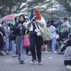 Para Fans Suga BTS
