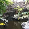 Kolam Ikan Inul Mewah