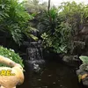 Kolam Ikan Inul Mewah