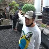 Kolam Ikan Inul Mewah