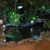 Kolam Ikan Inul Mewah