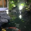 Kolam Ikan Inul Mewah