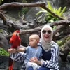 Zascia Mecca\&#039;s Holiday