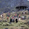 Kris Dayanti dan Keluarga buat lagu Timor Leste