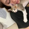 Cinta Laura