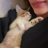 Cinta Laura