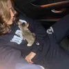 Cinta Laura