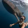 Potret Nikita Firma \&#039;Mermaid\&#039; Cantik yang Diduga Pacar Dikta