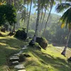 Panji - Varsha