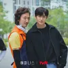 Park Hyung Sik dan Han Hyo Joo