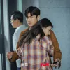 Park Hyung Sik dan Han Hyo Joo