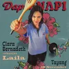 DAPUR NAPI