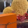 Ala Alatas