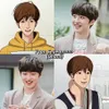Chani