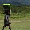 viral, kampung puldama papua, berita viral