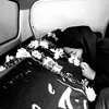 Potret Putri Dini Tiktoker