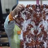 Potret Rafathar Unboxing Kado Ultah,