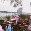 Pemandangan indah di resepsi Tao