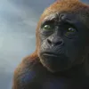 godzilla x kong 2024