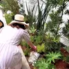 Potret Rossa Berkebun di Rumah Mumpung Libur