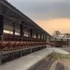kandang ternak Rumah Mayangsari di Purwokerto